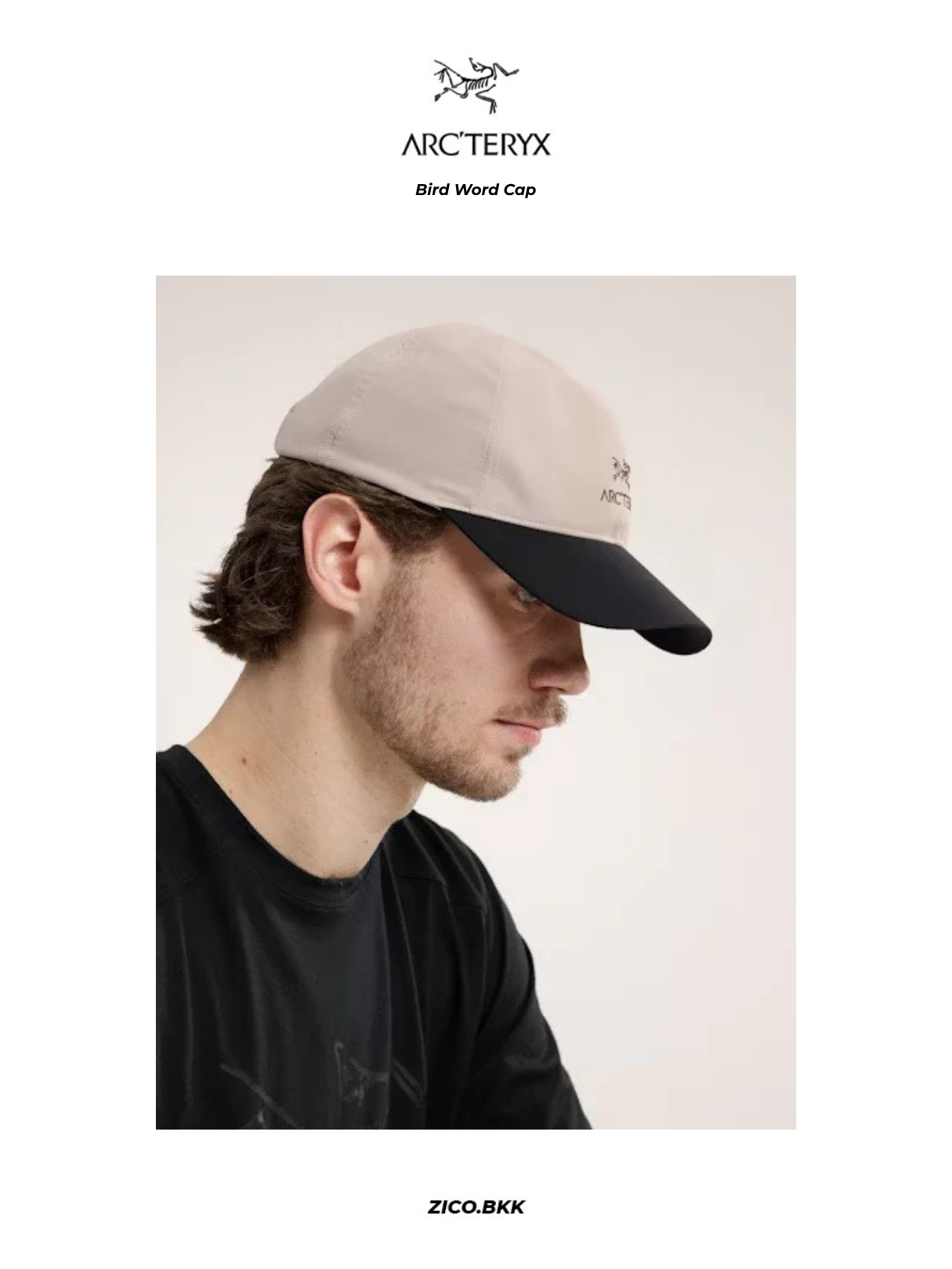 Arc'teryx Bird Word Cap