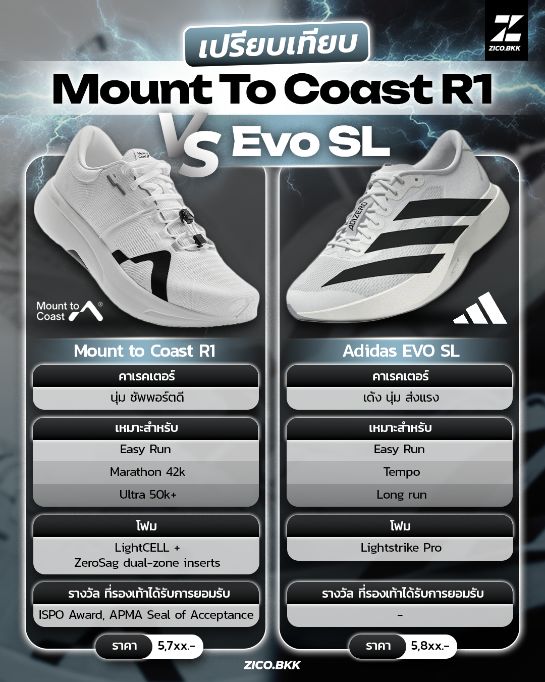 Mount to Coast R1 vs adidas Adizero EVO SL comparison daily running shoes