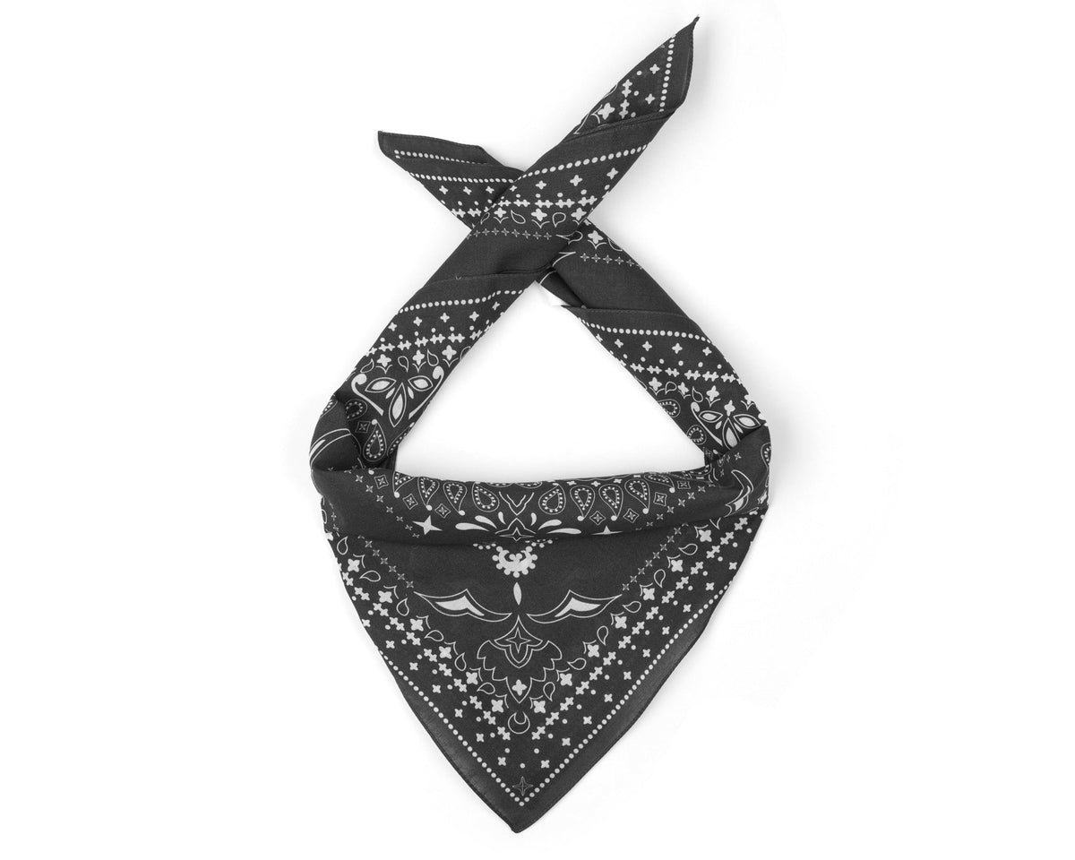 Dark Shadow | Paisley | official