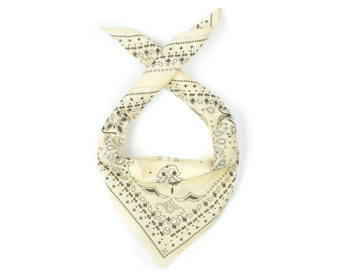 Transparent Yellow | Paisley | official