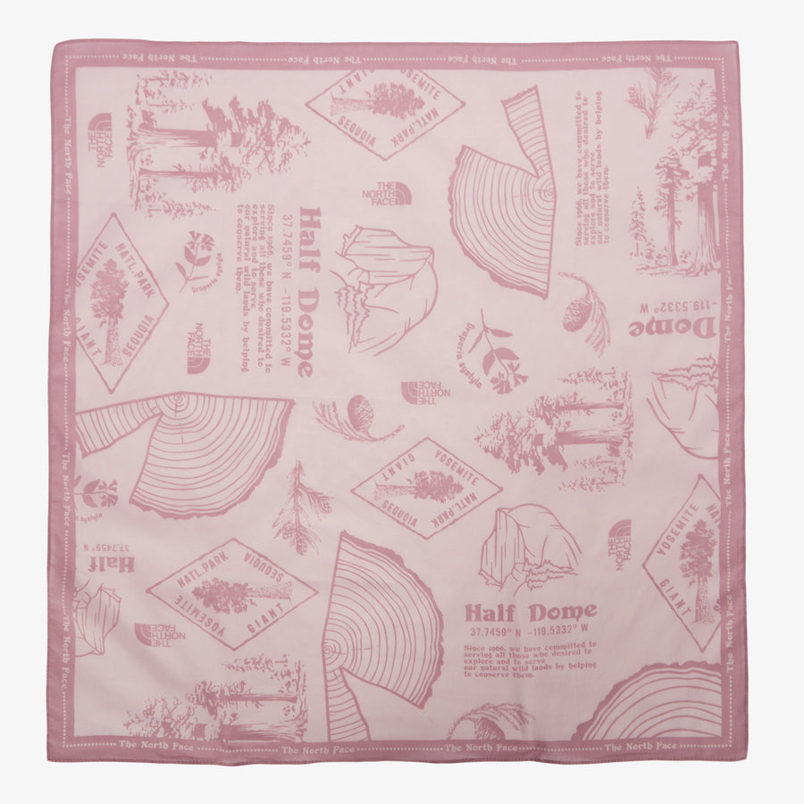 The North Face Bandana Pine Cone