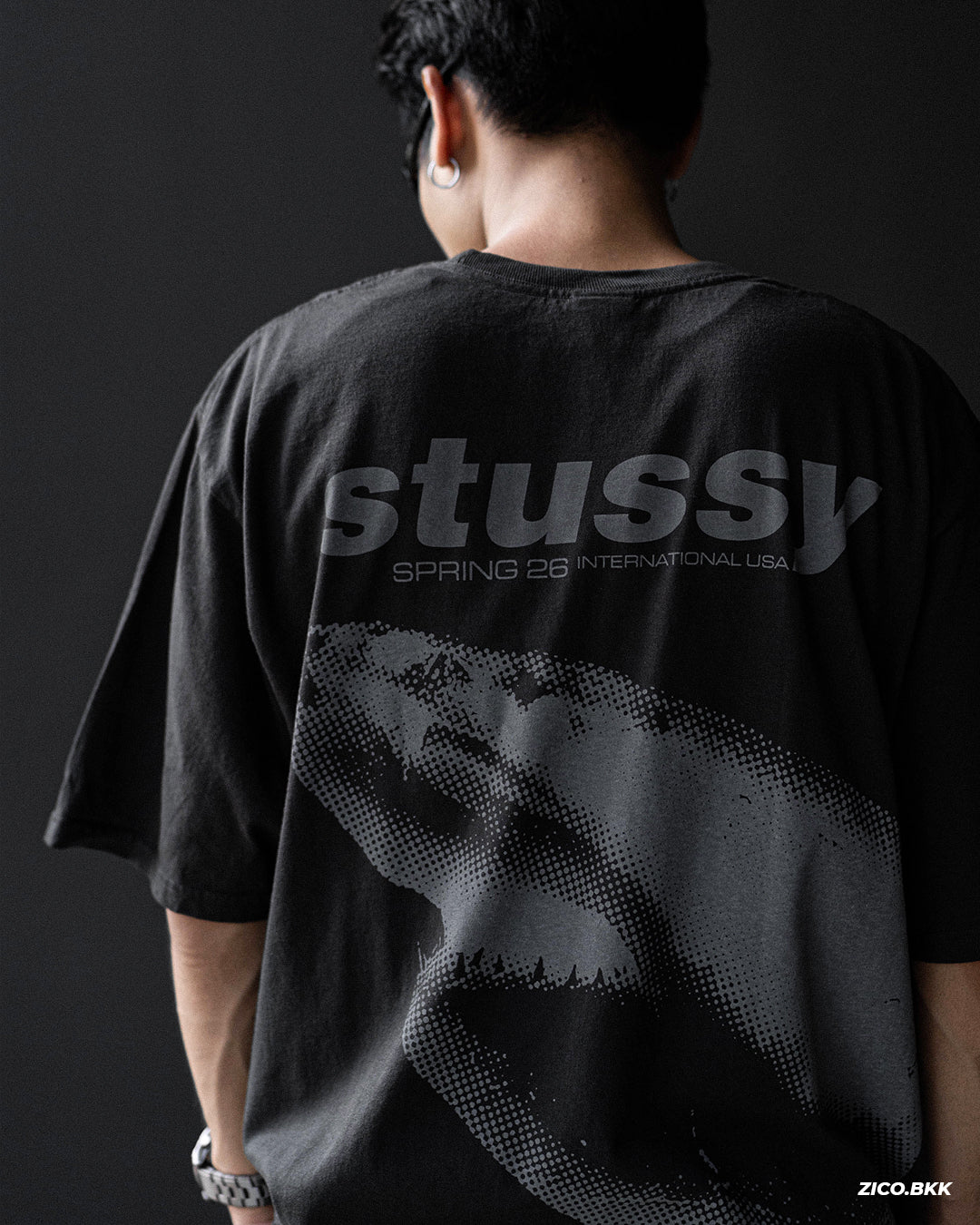 Stussy Shark Tee Pigment Dyed