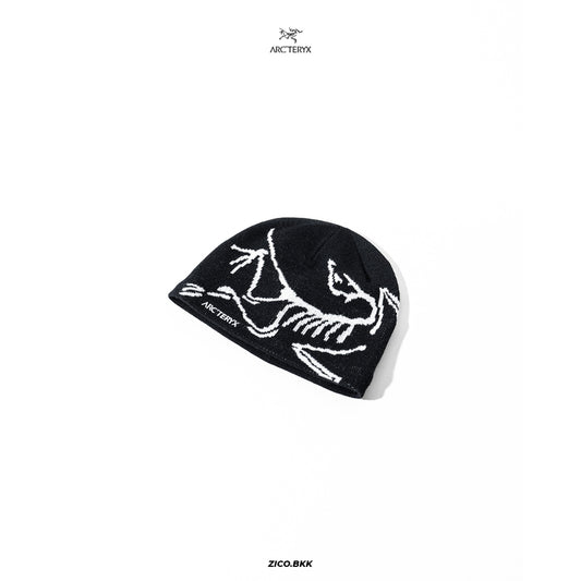 Arc’teryx Bird Head Toque Beanies